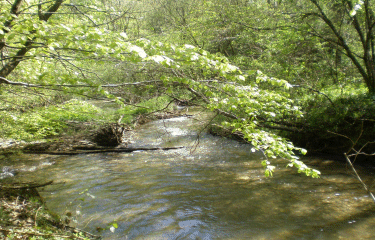 PAYS REQUISTANAIS-aveyron