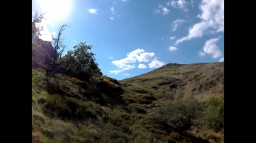 FIRMI - RONDE DU PUY DE WOLF-aveyron