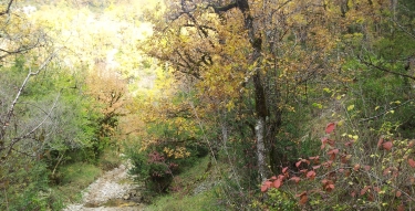 BOR COMMUNE DE BOR ET BAR (VALLEE DU VIAUR)-aveyron