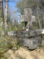 AGEN D AVEYRON - FORET DES PALANGES-aveyron