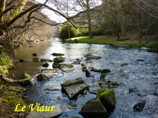 SAINT-SAUVEUR - COMPS-LA-GRAND-VILLE -aveyron