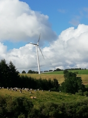 grands-causses - CHAPELLE DE BERGOUNHOUX