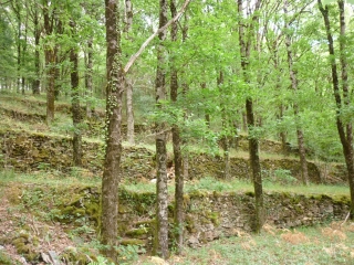 ESTAING - LA PANSARDERIE-aveyron