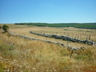 LAGUIOLE - LE BOUYSSOU (AVEYRON)-aveyron