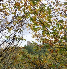LA CHAPELLE MURAT AU DESSUS DU VIAUR-aveyron