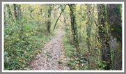 CENTRE AERE DE LAURIERE - RANDO DES QUATRE MAS-aveyron