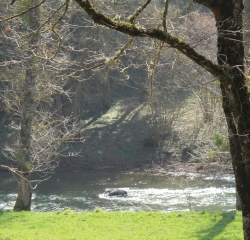 TOIZAC - CIRCUIT 6 DE RODEZ TOURISME-aveyron