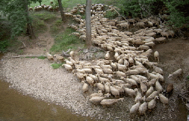 PREVINQUIERES-aveyron