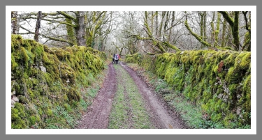 MEMER - LARAMIERE-aveyron