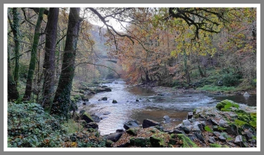 VILLEFRANCHE - GAUDIES - VILLEFRANCHE-aveyron