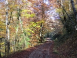 CIRCUIT DE COMBE NEGRE-aveyron