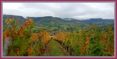 BRUEJOULS - BALSAC - PANAT-aveyron