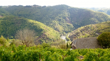 LE FEL - CRESTES-aveyron