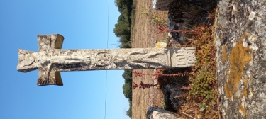 LA CAPELLE-BALAGUIER 12260  AVEYRON 16.KM-aveyron