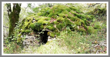 TRIGODINAS COMMUNE DE LA ROUQUETTE ( PRES DE VILLEFRANCHE DE ROUERGUE)-aveyron