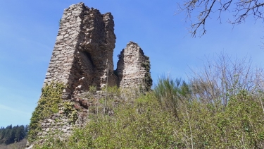 ST GEORGES DE CAMBOULAS (AVEYRON)-aveyron