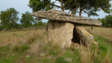 CORNUéJOULS / BUZEINS-aveyron