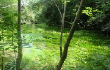 SOURCES DE DOURZON-aveyron