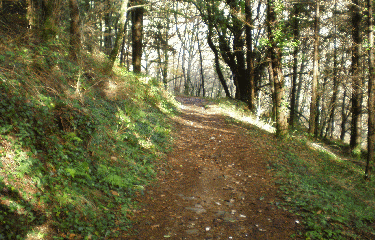 CAMBOULAZET- VALLEE DE LA NAUZE-aveyron