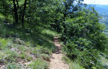LE ROC NANTAIS-aveyron