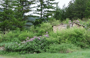 VERSOLS-ET-LAPEYRE-aveyron