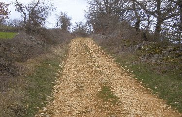 VIMENET - CAUSSE SEVERAGAIS-aveyron