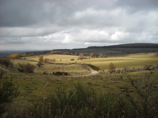 NECK DE BELVEZET-aveyron