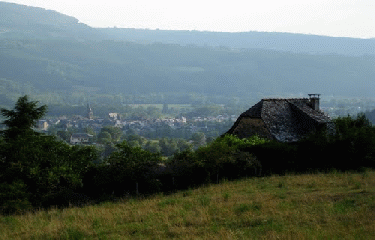 LES VIEILLES VIGNES-aveyron