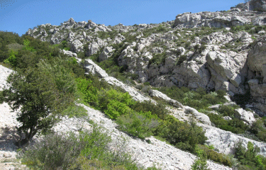 La Sainte Baume - Le pic de Bertagne (1)-bouches-du-rhone