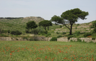 Tour du Valdegon-bouches-du-rhone