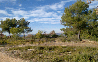 LE REGAGNAS-bouches-du-rhone