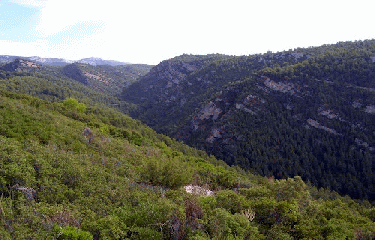MASSIF DE LA SAINTE BAUME-bouches-du-rhone
