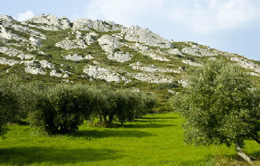 CAISSES DE JEAN JEAN-bouches-du-rhone