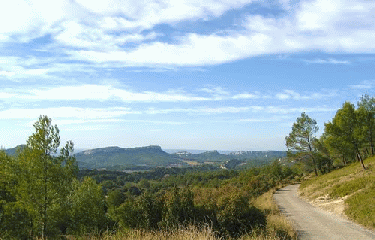 TERRASSES DE LA VALLE D AUGE