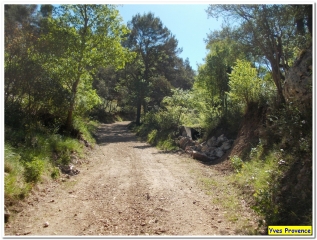 SIMIANE-COLLONGUE - COLLINE DE PEYCAI-bouches-du-rhone