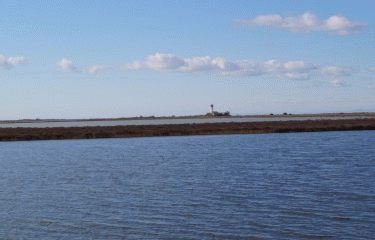 ETANG DE GALABERT-bouches-du-rhone