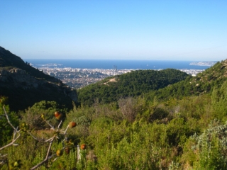 PIC DU TAOUME - LE GARLABAN-bouches-du-rhone