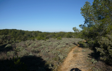 Autour de Grans -bouches-du-rhone