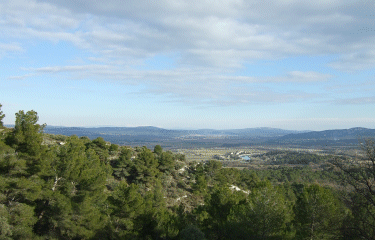 PUY SAINTE REPARADE- LA QUIHO -bouches-du-rhone