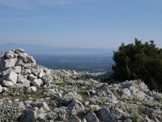 CRETES DES ALPILLES
