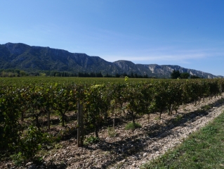 CRETES DES ALPILLES-bouches-du-rhone