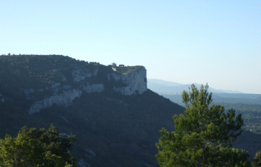 FORET DE FONTBLANCHE-bouches-du-rhone