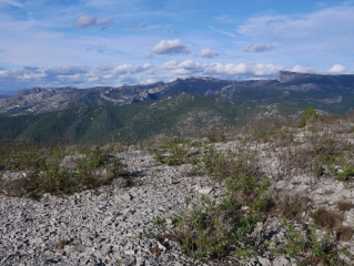 FORET DE FONTBLANCHE - LE MONTOUNIER-bouches-du-rhone