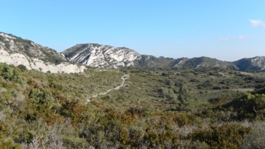 ST-REMY-DE-PROVENCE - LES AMANTS-bouches-du-rhone