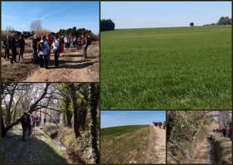 EYRAGUES-bouches-du-rhone