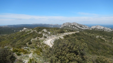 AUREILLE - DES OPIES AU CALANS