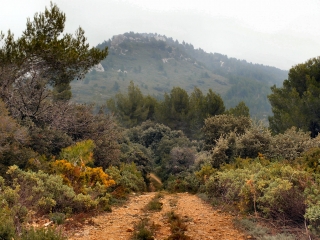 RANDONNEE DANS LES ALPILLES-bouches-du-rhone