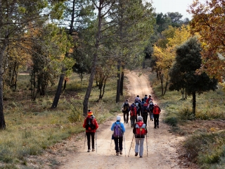 BARBENTANE-bouches-du-rhone