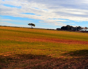 BARBENTANE-bouches-du-rhone