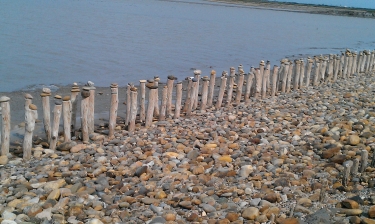 ETANG DU FANGASSIER - FLAMANT ROSE ET SEL-bouches-du-rhone